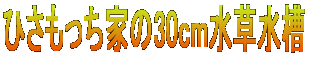 ЂƂ30cm