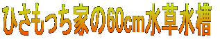 ЂƂ60cm