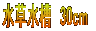 @30cm