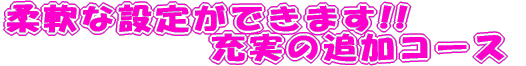 _Ȑݒ肪ł܂!! [̒ǉR[X 
