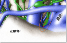胸管・鎖骨リンパ｜BE SEITAI　817パシフィカ堺