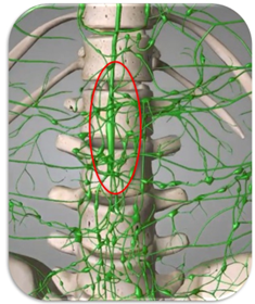 乳び槽｜BE SEITAI　817パシフィカ堺