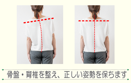 骨盤から脊柱の調整 | 817パシフィカ堺