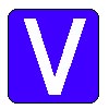V-ISM