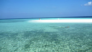 Maldives Embudu DiverLand 　　　　　　　　　　　　Snorkeling Paradise