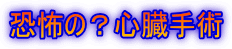 ���|�́H�S����p