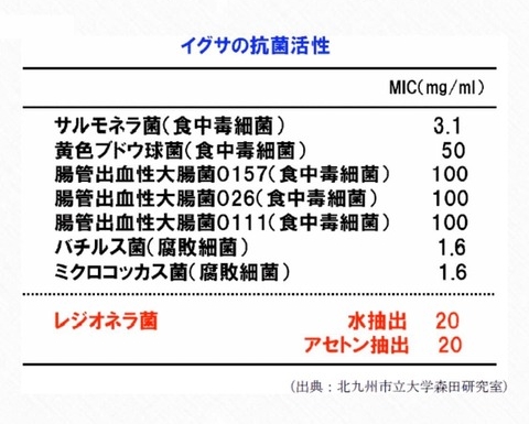 イグサの抗菌活性表