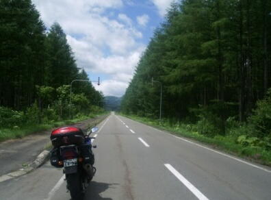 これぞ北海道の道! てな道です。