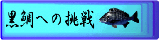 黒鯛への挑戦