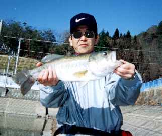 48.5cm