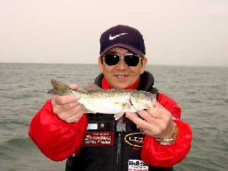 26cm 26cm