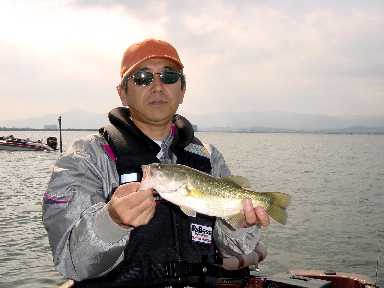 1cm不足 1cm不足