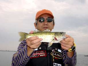 29cm