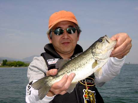 32.5cm