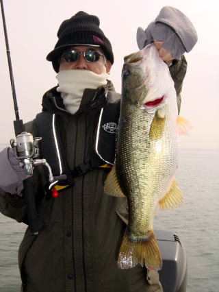 48.5cm̏oXI