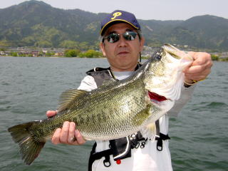 TTZ`I