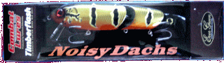 NoisyDacks