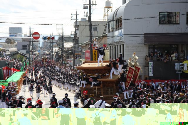 すべての講義 お祭り 有名 : 岸和田だんじり祭りの写真 ...
