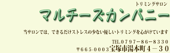 宝塚温泉の近所です