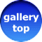 gallery    top 