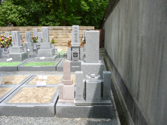 �[���ł���y�b�g�̂���,���莛