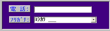 フリガナ入力例