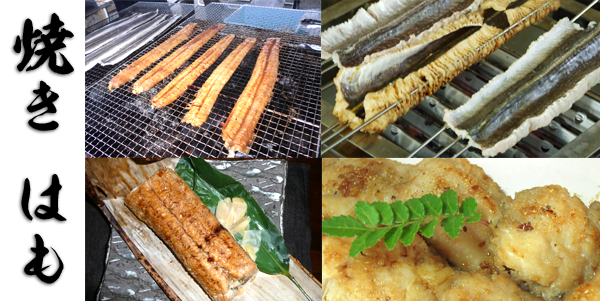 焼きはも