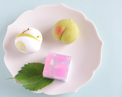 季節の上生菓子詰め合わせ