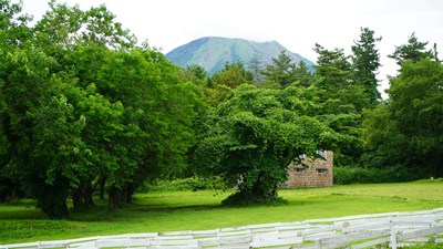 大山 大山