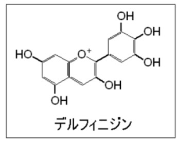 デルフィニジンの化学構造