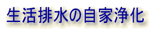 ^CgFr̎Ə
