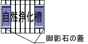 r̎Ə򉻑