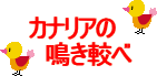 CXgFJiA̖r