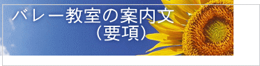 バレー教室の案内文 (要項)