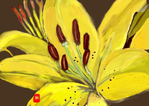 黄色い百合の花