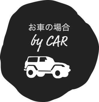 by car
