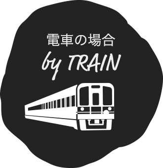 by train