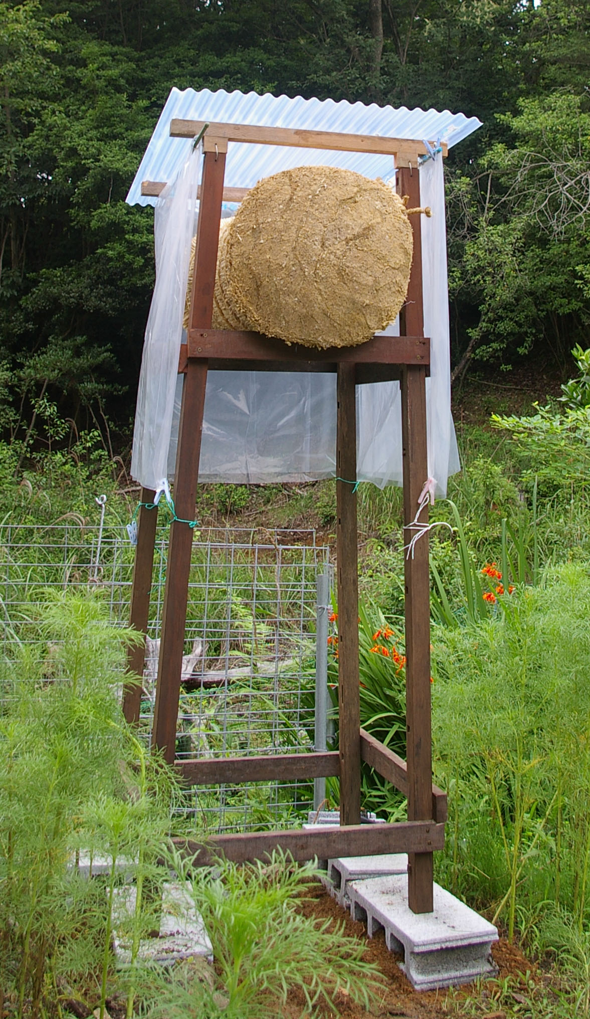 説明: C:\Users\FMV\Desktop\my home page\img\takeyumi.jpg