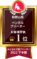 2022年下半期和歌山県ベンガルブリーダーお客様評価第1位