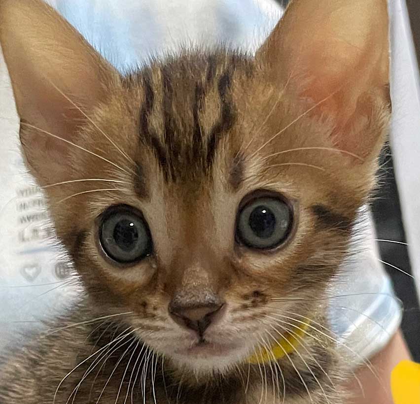7月11日生まれ