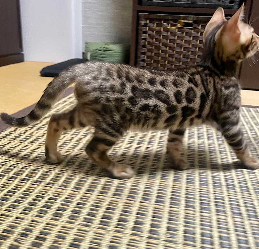 7月11日生まれ
