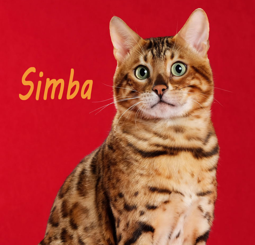 シンバ