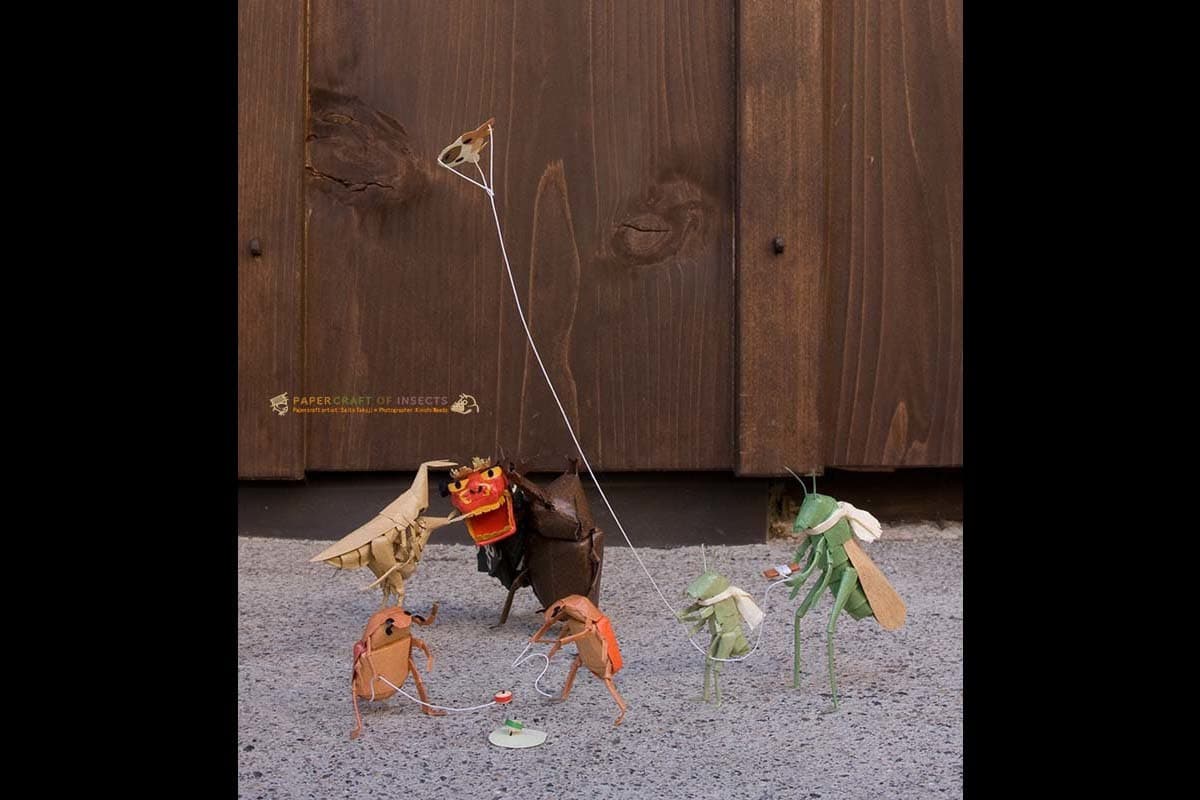 kinichiinsects00a.jpg