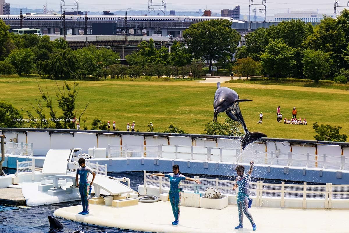kinichi202101d.jpg