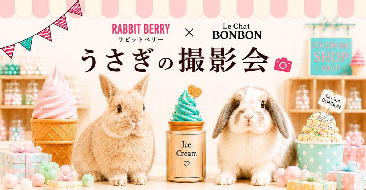 うさぎさんの撮影会 2026 | Rabbit Berry × Le Chat BONBON