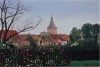 IMG_8150.JPG