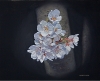 桜（2010）F３号 - バージョン 2.jpg