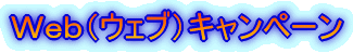 QOPWfPQNӍՃLy[
