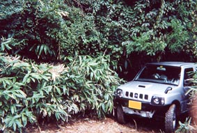 林道さんこんにちは