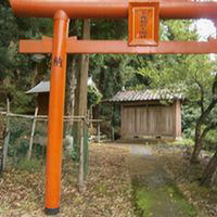 ��X��א_��